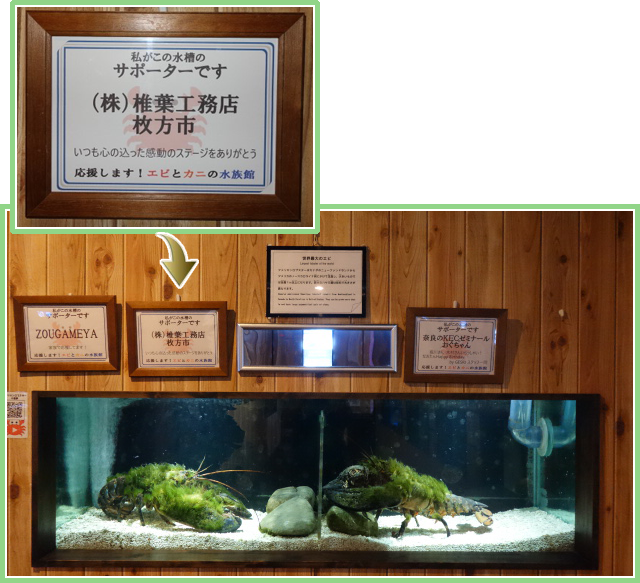 「エビとカニの水族館」のサポーター