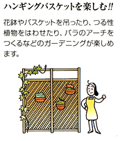 ハンギングバスケットを楽しむ!!