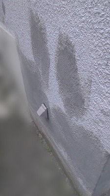 壁の剥がれ3